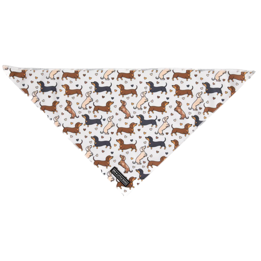 Big & Little Dogs Dashie Lovers Bandana