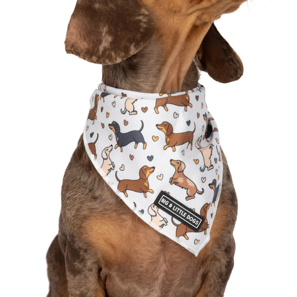 Big & Little Dogs Dashie Lovers Bandana