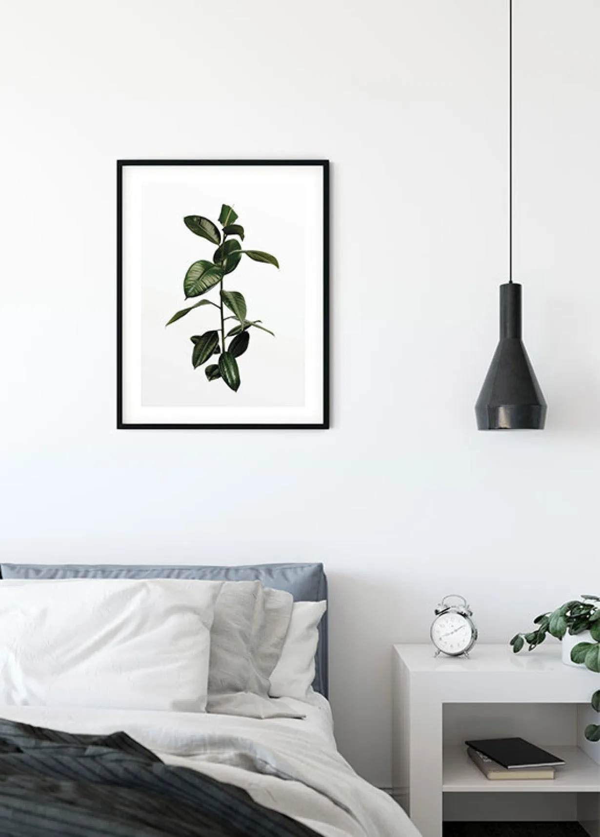 Ficus Branch Art Poster