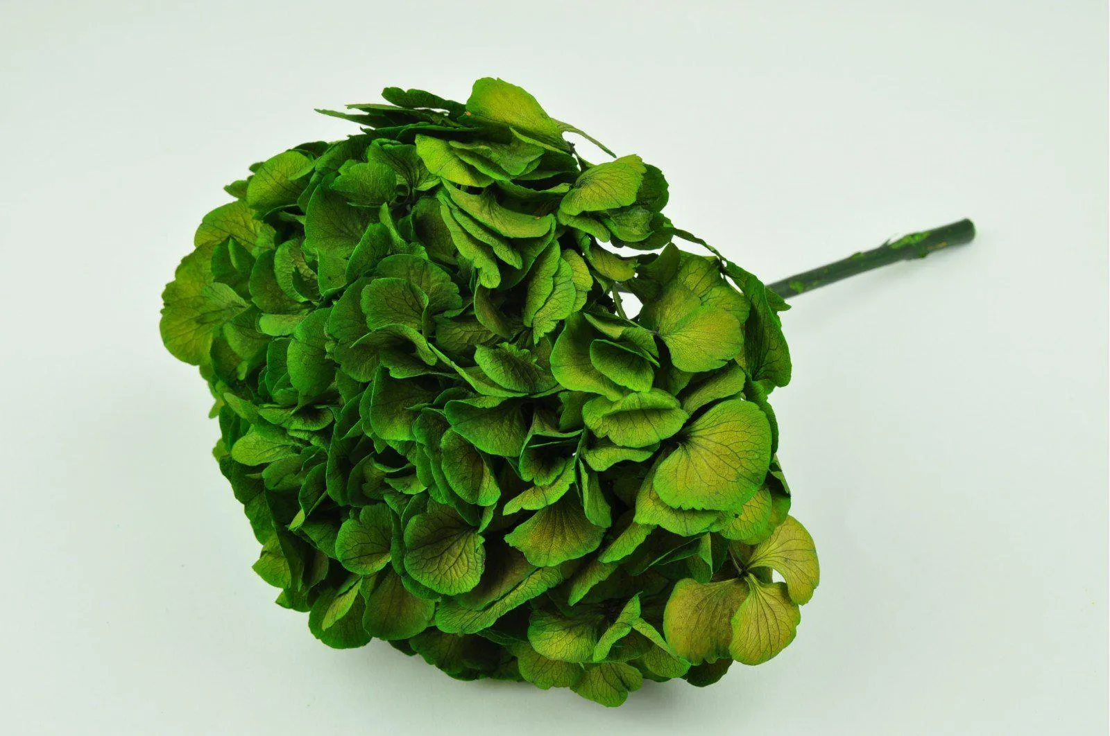 Green Hydrangea Bouquets