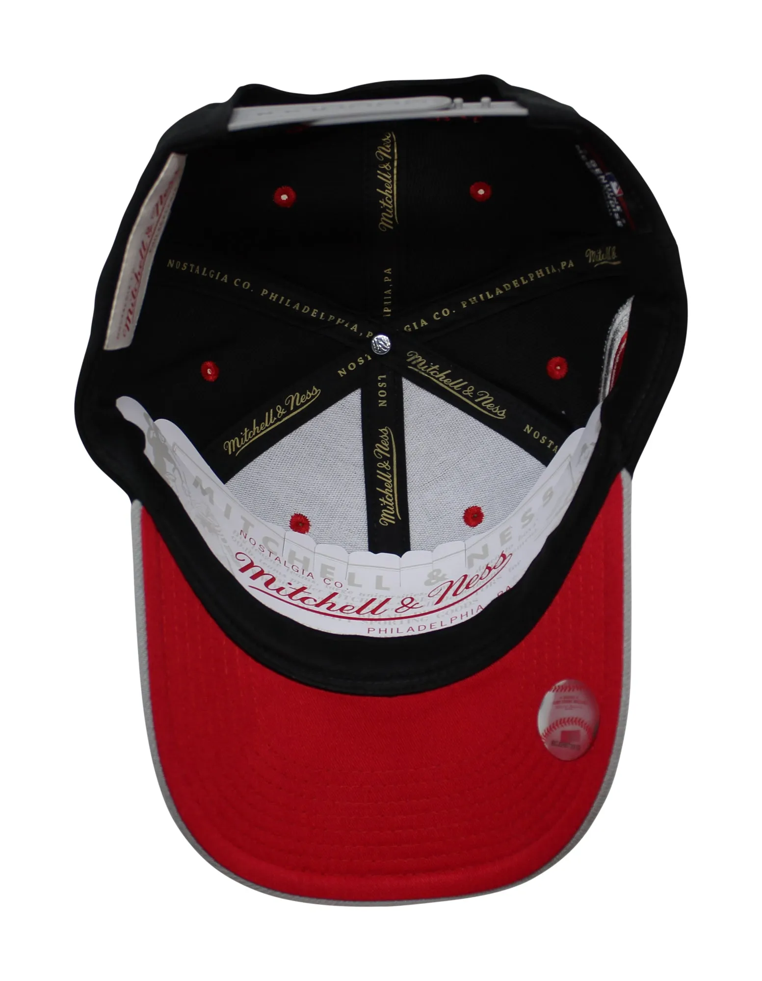 Mitchell & Ness Bred Pro Snapback Hat